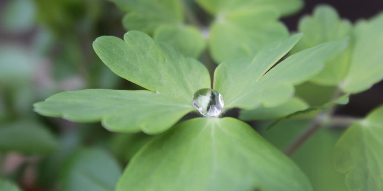 Andreas Brain banner