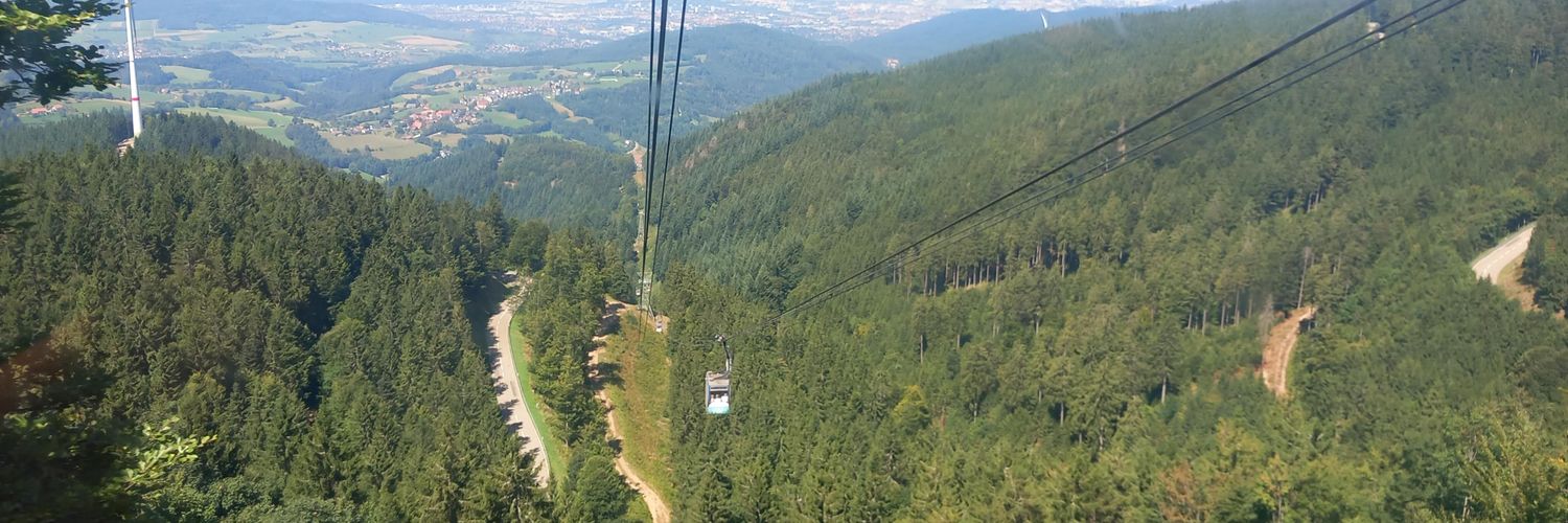 James Warrener banner