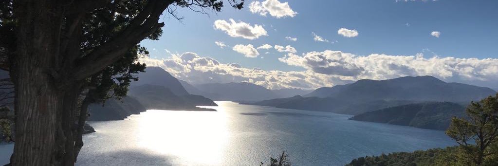 silvanasavoini's profile banner image