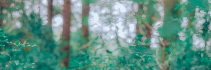 sornwen's profile banner image