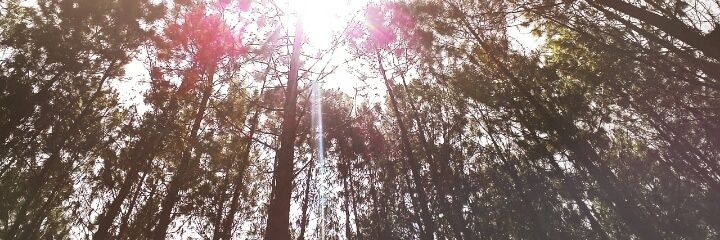 baang_ipul's profile banner image