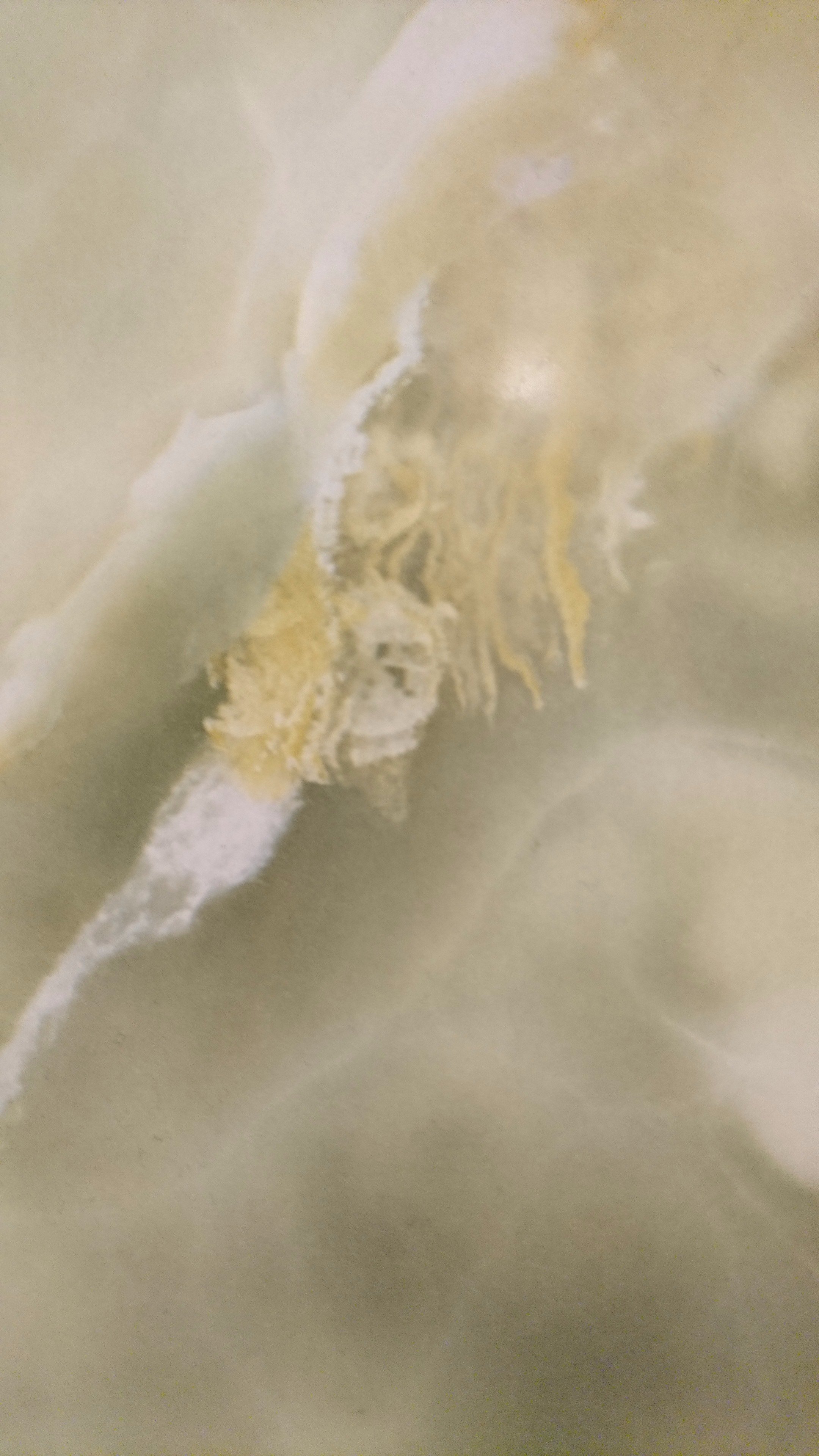 Andreas Stråbø Normann banner