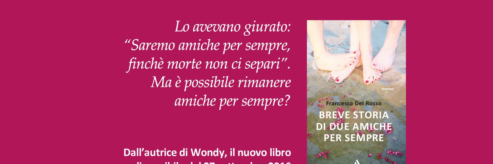 wondy banner