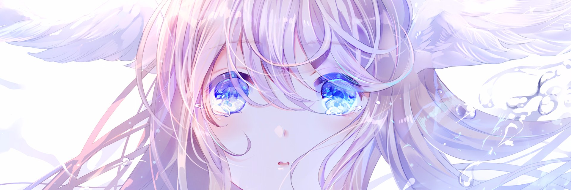MoonlightbutterFly banner
