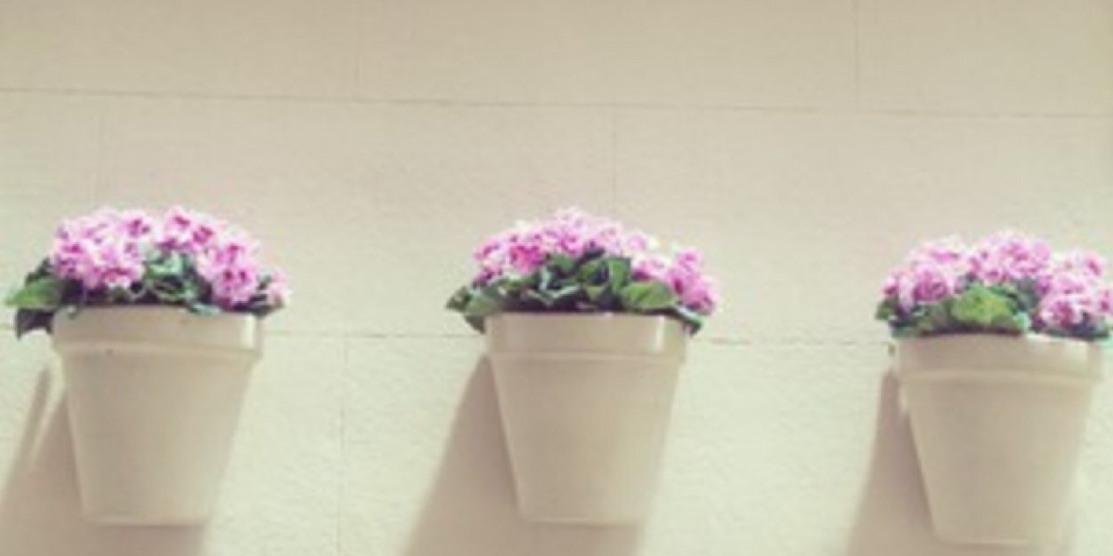 agustin_gembul's profile banner image