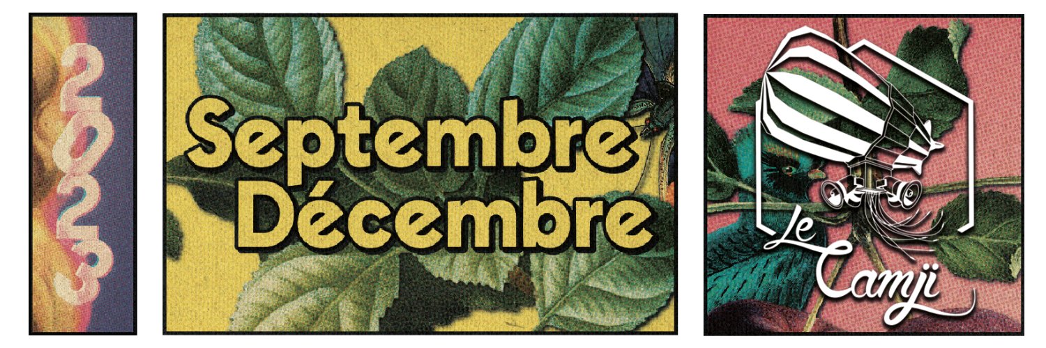 LeCamji's profile banner image