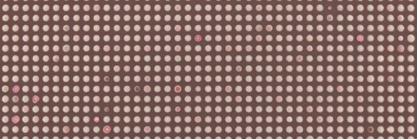 BanzhafLab Profile Banner