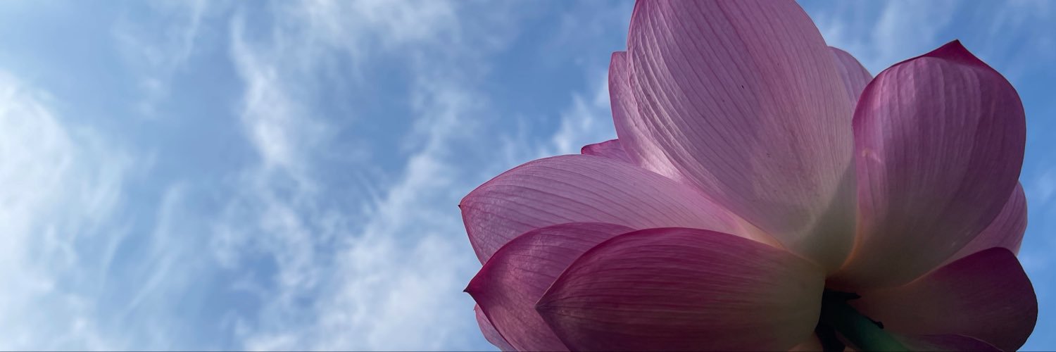 m_m8585's profile banner image