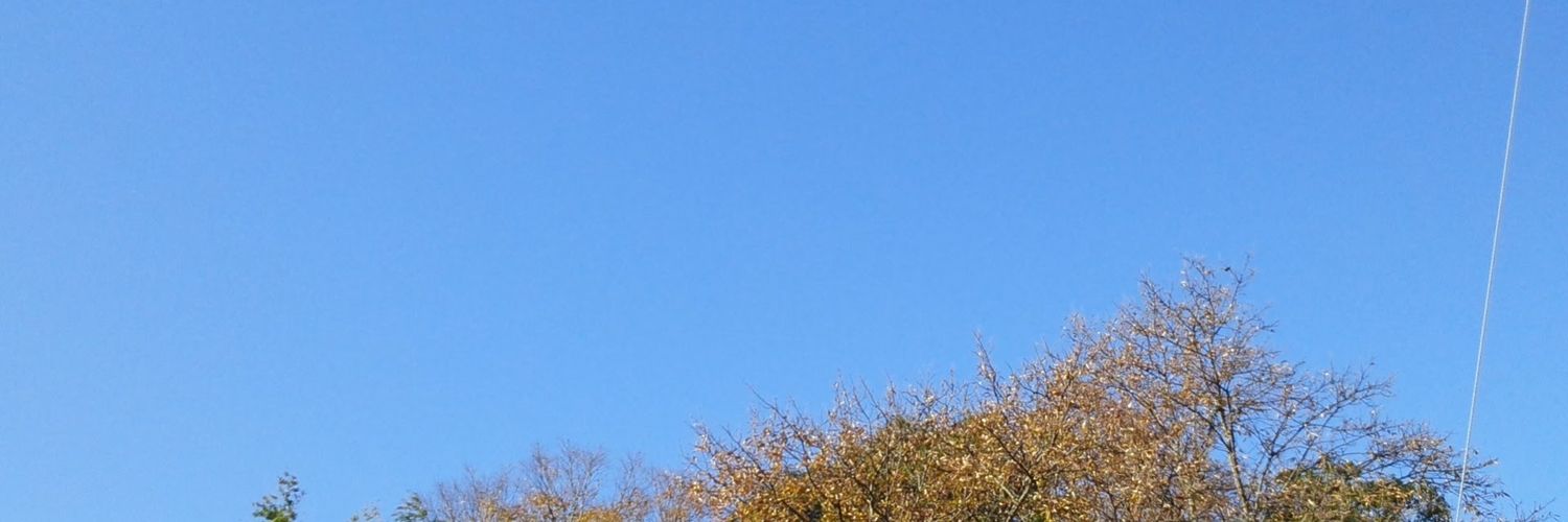 空木空 banner