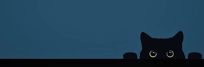 hailcatan's profile banner image