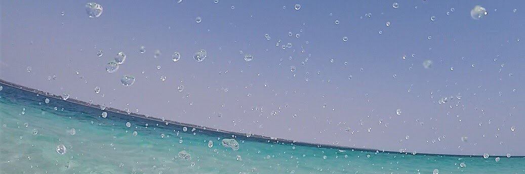 Nesslina's profile banner image