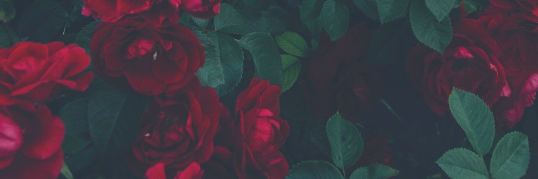 mendesslips's profile banner image