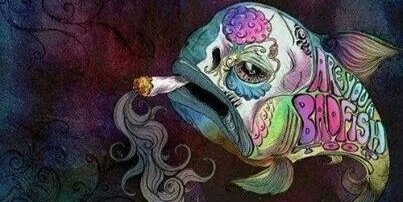 Maggie7134's profile banner image