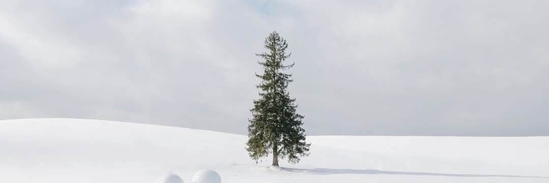 skpaca's profile banner image