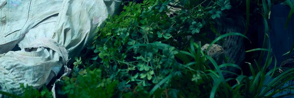 yu___09___11 Profile Banner