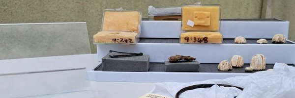 ward_andrewArch Profile Banner