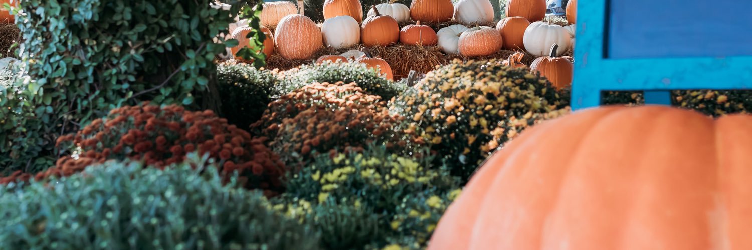 Hildreth Farm Market banner