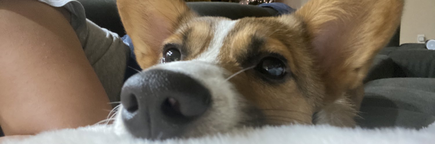 emmi_q's profile banner image