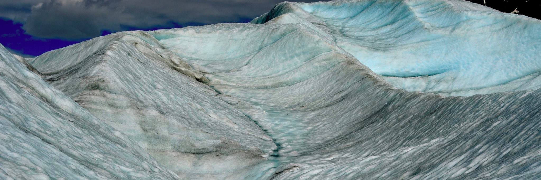 Dr. Lizz Ultee banner