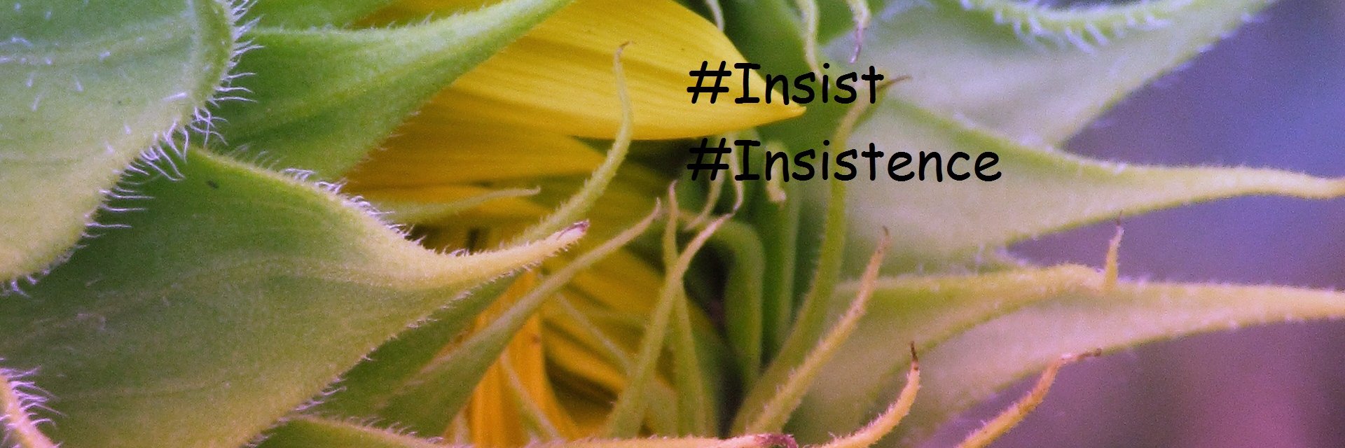 InsistenceMarch's profile banner image