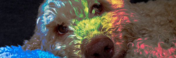 TallulahB2007 Profile Banner