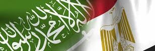 saeed_elfeky's profile banner image