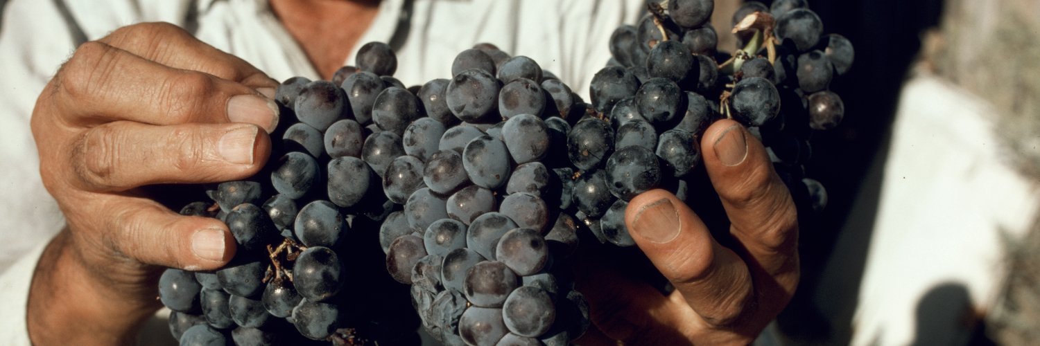 Grounded Wine Co. banner