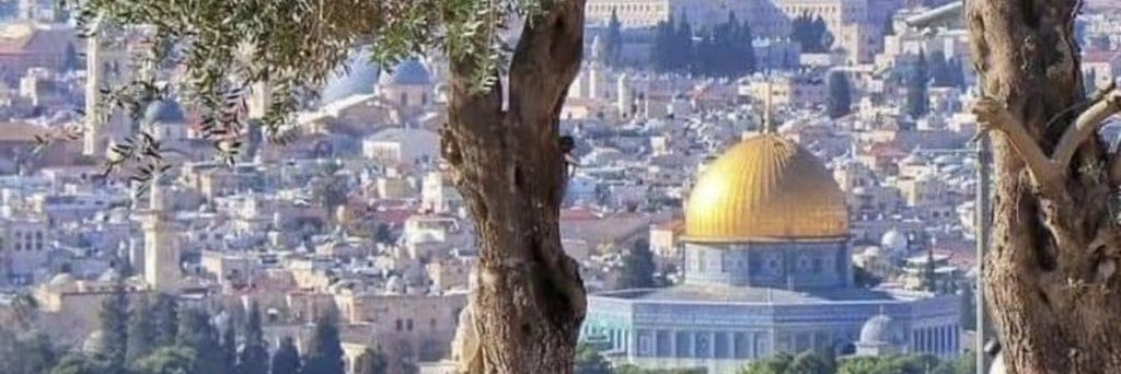 MuslimCommando's profile banner image