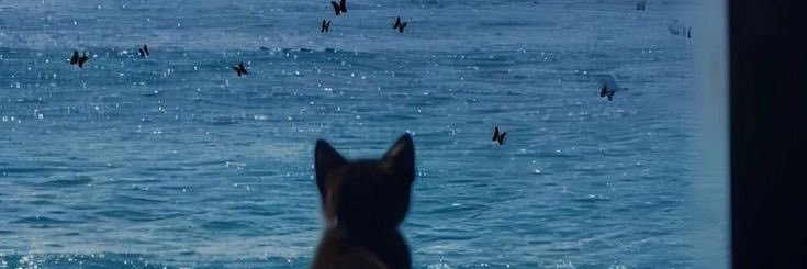 xocv_'s profile banner image