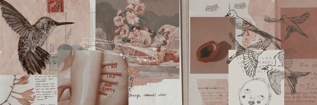 ˗ˏˋ alexsia ´ˎ˗ banner