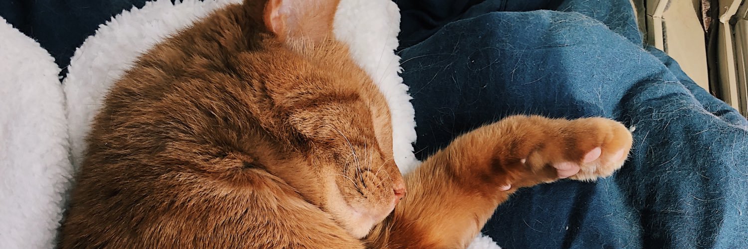 Bellappittman's profile banner image