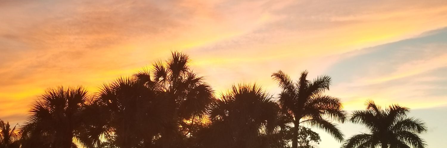 nickychooch2's profile banner image