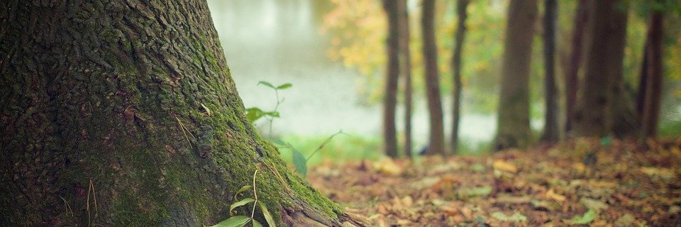 lpasyoulikeit's profile banner image