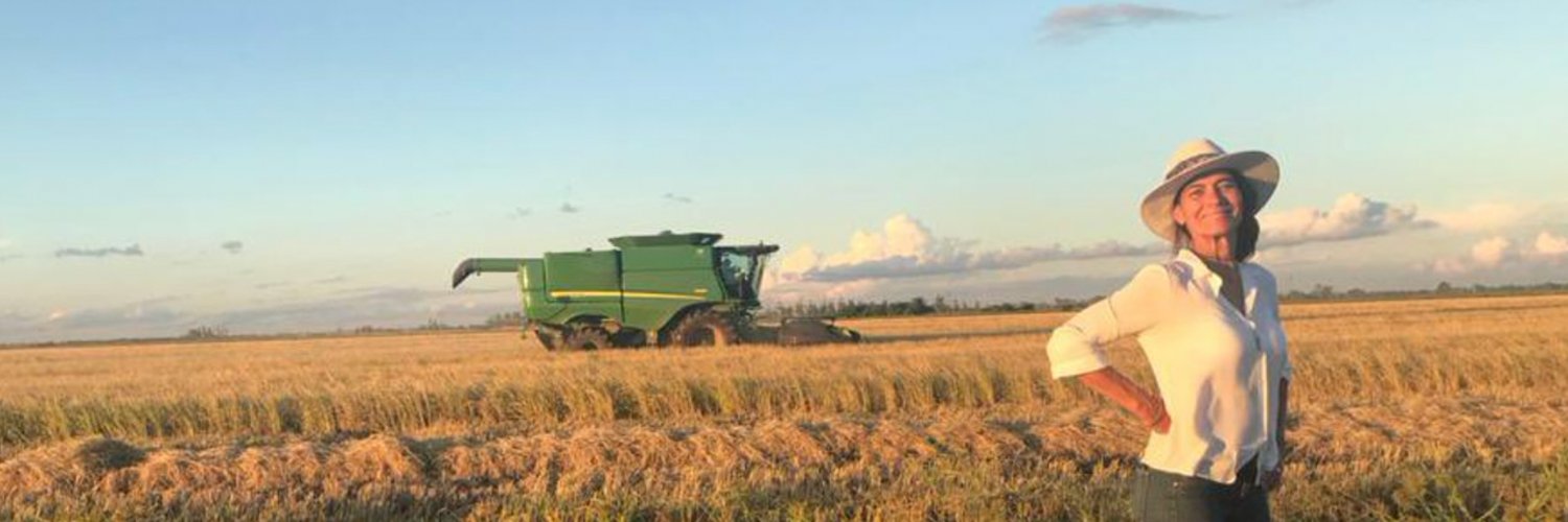 Industriaverde banner