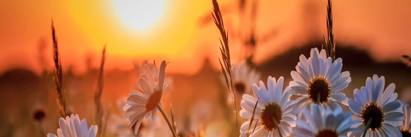 luustig's profile banner image