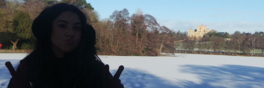 GeorgeyT93's profile banner image