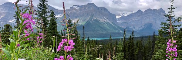 tkompala Profile Banner