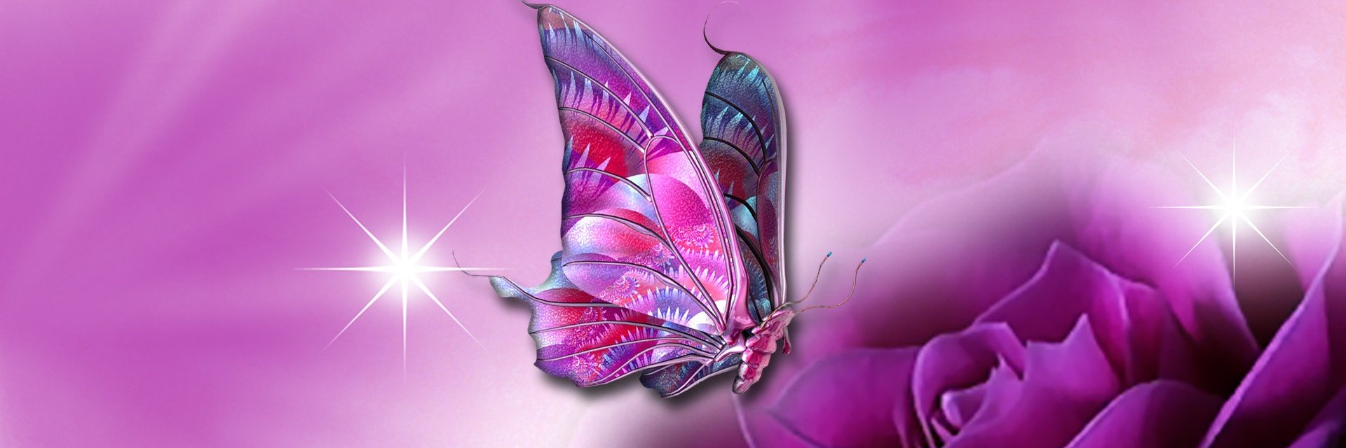 gissdf's profile banner image