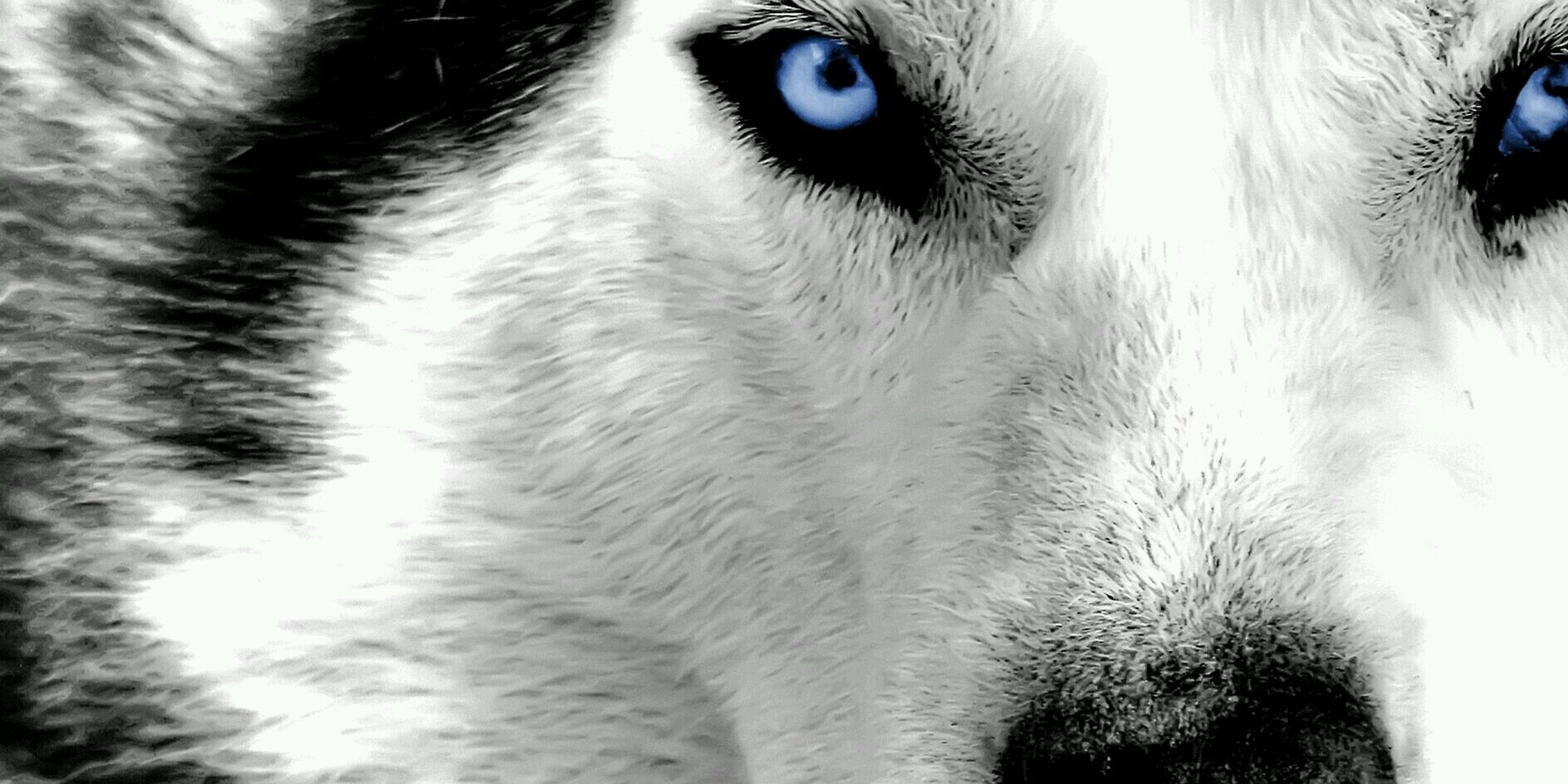kemerav's profile banner image
