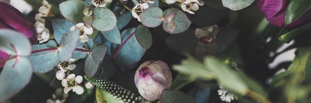 mrsprojectmirl's profile banner image