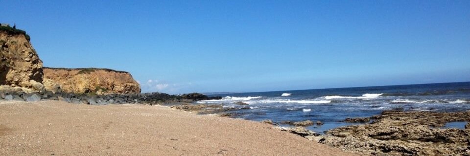 Christine Collins banner