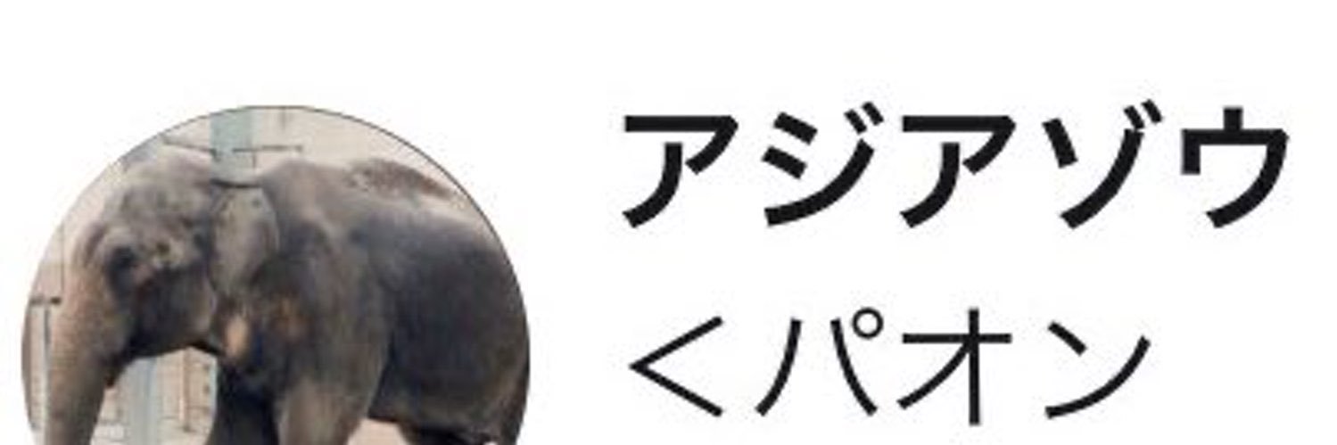 アジアゾウ banner