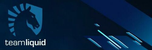 Team Liquid Latam banner