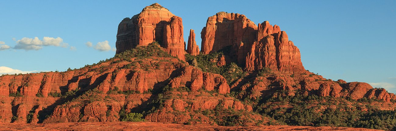 Michael Barlev banner