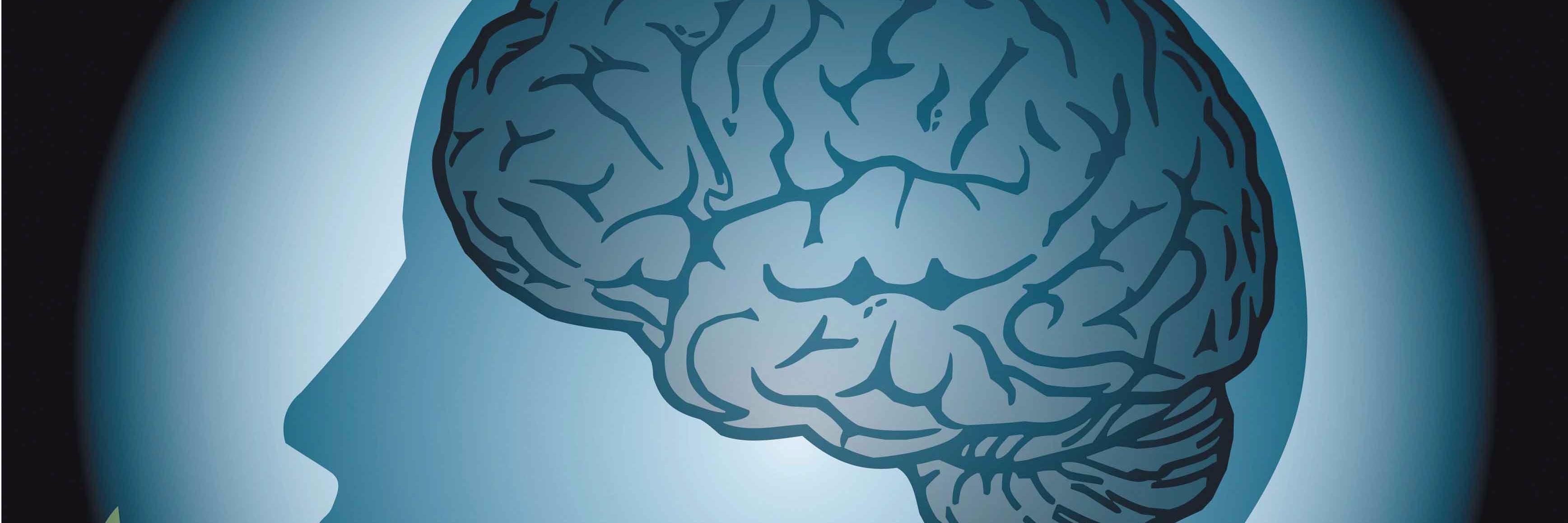 Urban Brain and Body (@UrbanBrainBody) / Posts / X