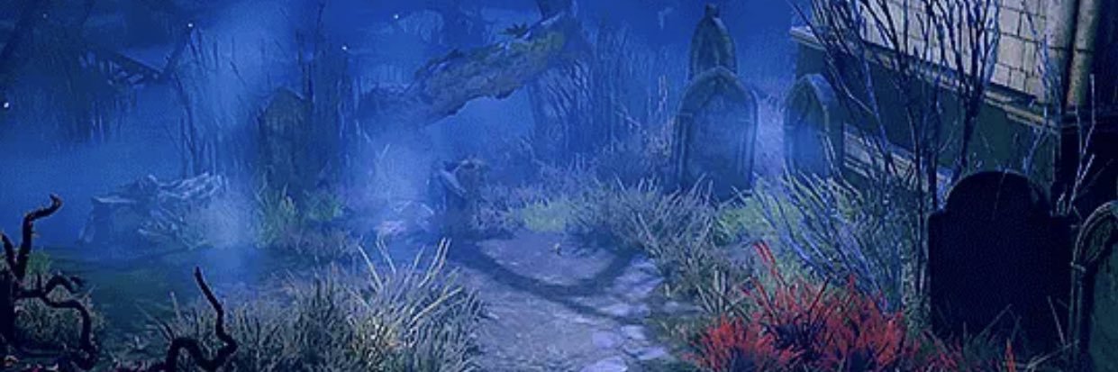 ashnappur's profile banner image