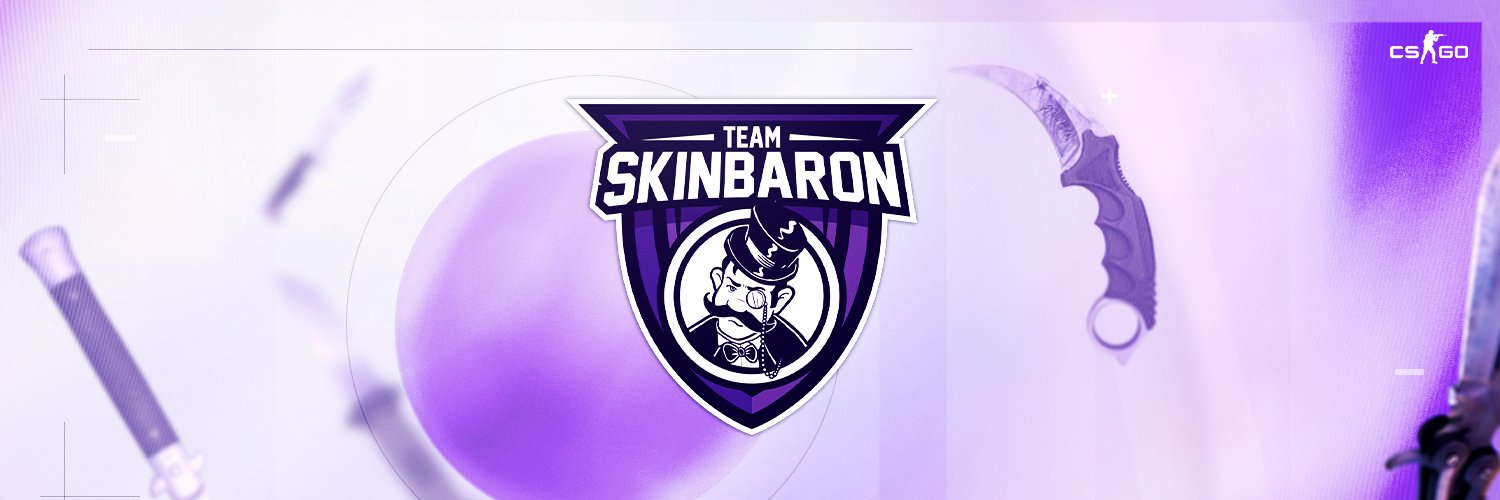 Team SkinBaron banner