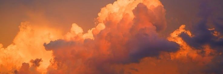 bluecherryy22's profile banner image