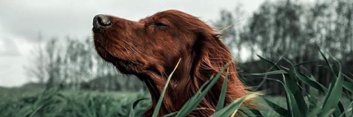 Sonsuzmkm's profile banner image