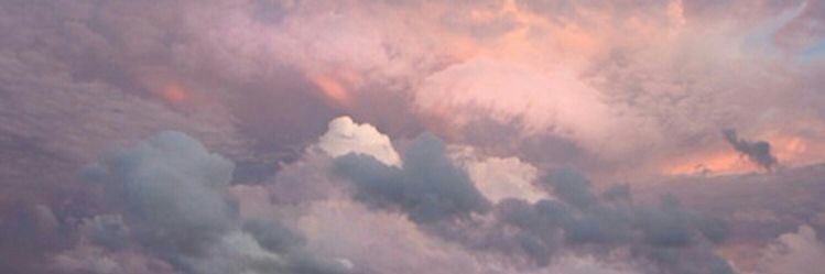 noemaae's profile banner image